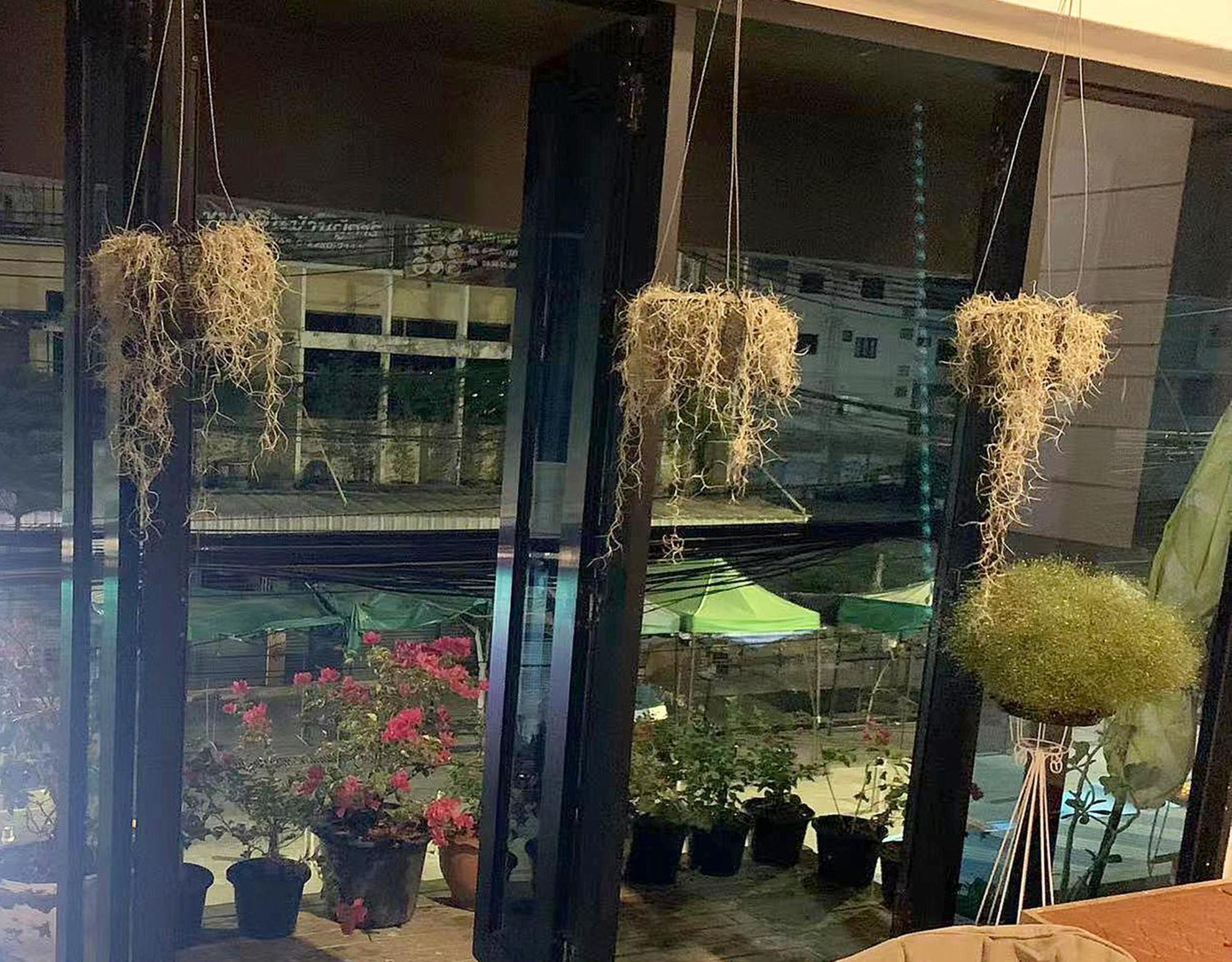 Susu Khaosan Hostel Bangkok Buitenkant foto